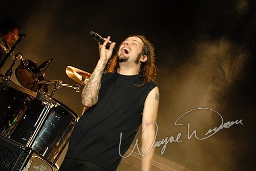 Korn
