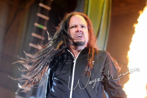 Korn