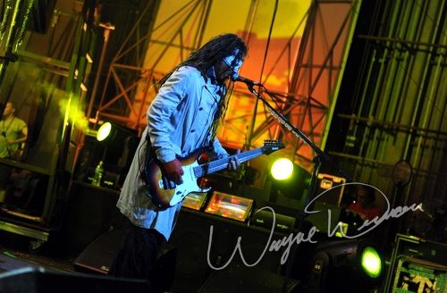 Korn
