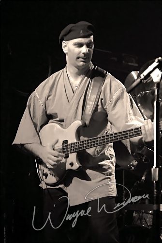 Mark Wood Experience