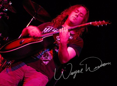 Three (3) concert photo by Wayne Dennon