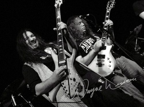 Three (3) concert photo by Wayne Dennon