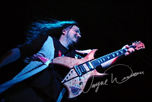 Three (3) concert photo by Wayne Dennon
