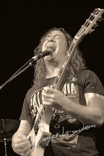 Three (3) concert photo by Wayne Dennon