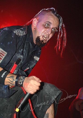 Crossbreed concert photo by Wayne Dennon