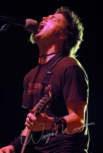 Crossfade concert photo by Wayne Dennon