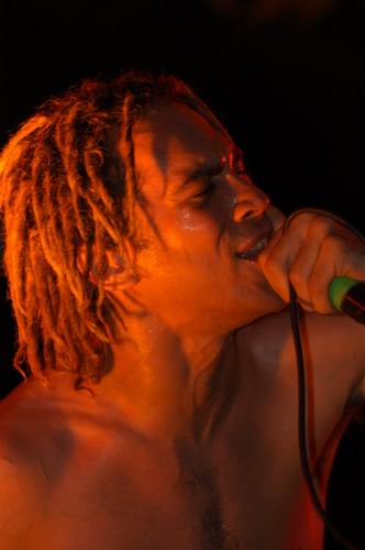 40 Below Summer at Woodshock Music Festival Bellefontaine, OH on August 9, 2003 &mdash; concert photo by Wayne Dennon