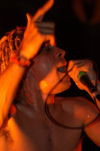 40 Below Summer at Woodshock Music Festival Bellefontaine, OH on August 9, 2003 &mdash; concert photo by Wayne Dennon