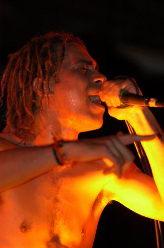 40 Below Summer at Woodshock Music Festival Bellefontaine, OH on August 9, 2003 &mdash; concert photo by Wayne Dennon