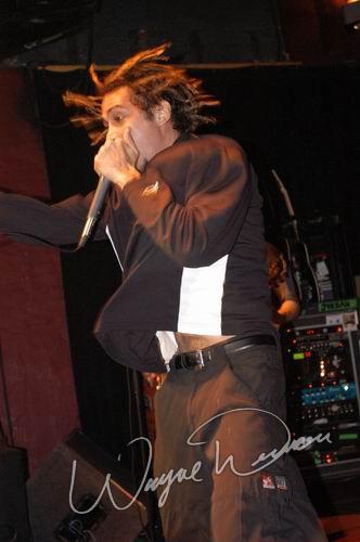 40 Below Summer at Inferno Bar Murfreesboro, TN on March 17, 2004 &mdash; concert photo by Wayne Dennon