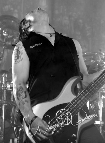 Disturbed