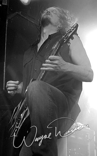 Disturbed