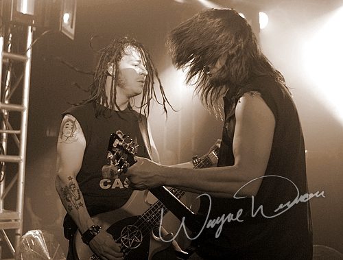 Disturbed