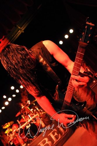 Disturbed