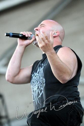 Disturbed