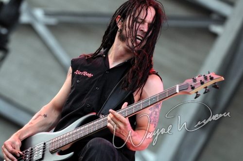 Disturbed