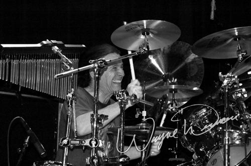 Dixie Dregs concert photo by Wayne Dennon