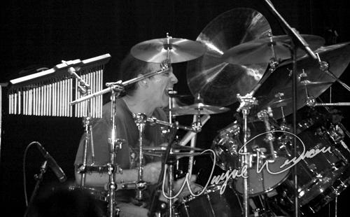 Dixie Dregs concert photo by Wayne Dennon