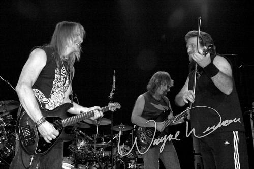 Dixie Dregs concert photo by Wayne Dennon