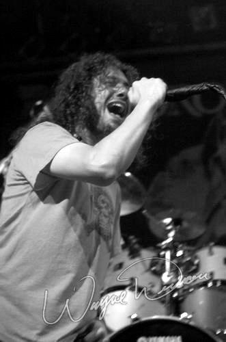 Dropbox concert photo by Wayne Dennon