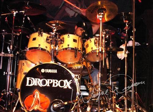Dropbox concert photo by Wayne Dennon