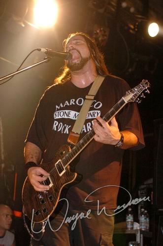 Dropbox concert photo by Wayne Dennon