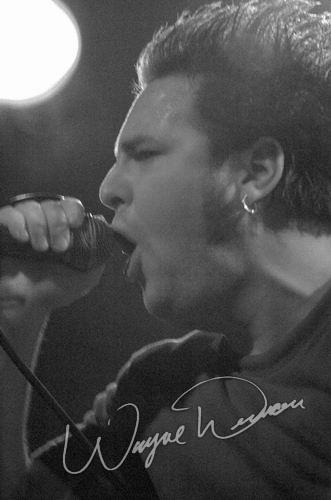 Element Eighty at Bogart's Cincinnati, OH on January 20, 2004 &mdash; concert photo by Wayne Dennon