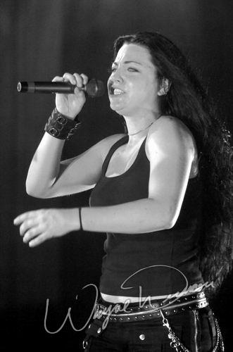 Evanescence at Riverbend Music Center Cincinnati, OH on August 2, 2004 &mdash; concert photo by Wayne Dennon