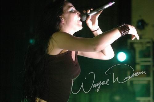 Evanescence at Riverbend Music Center Cincinnati, OH on August 2, 2004 &mdash; concert photo by Wayne Dennon