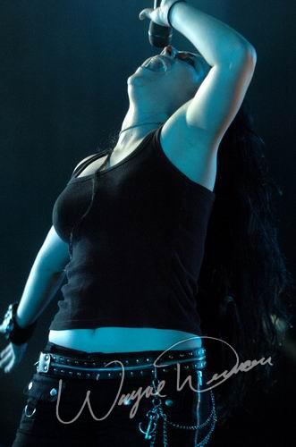 Evanescence at Riverbend Music Center Cincinnati, OH on August 2, 2004 &mdash; concert photo by Wayne Dennon