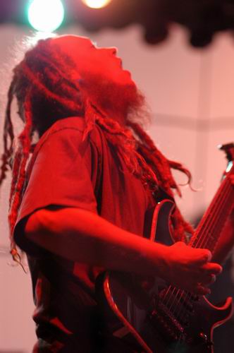 Flaw at Tower City Ampitheater Cleveland, OH on September 15, 2003 &mdash; concert photo by Wayne Dennon