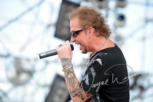 Great White