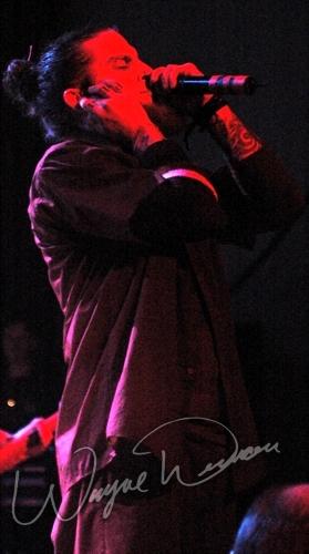 American Head Charge at Madison Theater Covington, KY on July 25, 2005 &mdash; concert photo by Wayne Dennon