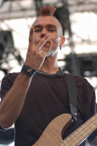 Hed PE