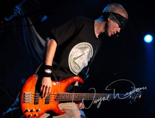 Hed PE at Bogart's Cincinnati, OH on November 17, 2006 &mdash; concert photo by Wayne Dennon