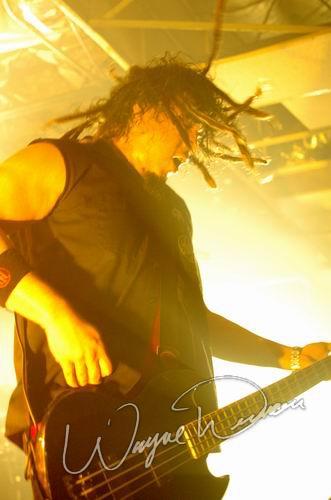 Ill Nino