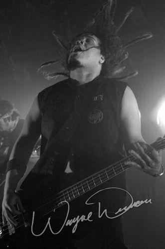 Ill Nino